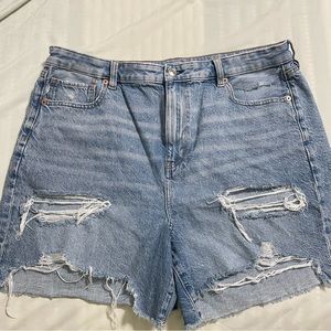 American Eagle Baggy Mom Shorts
